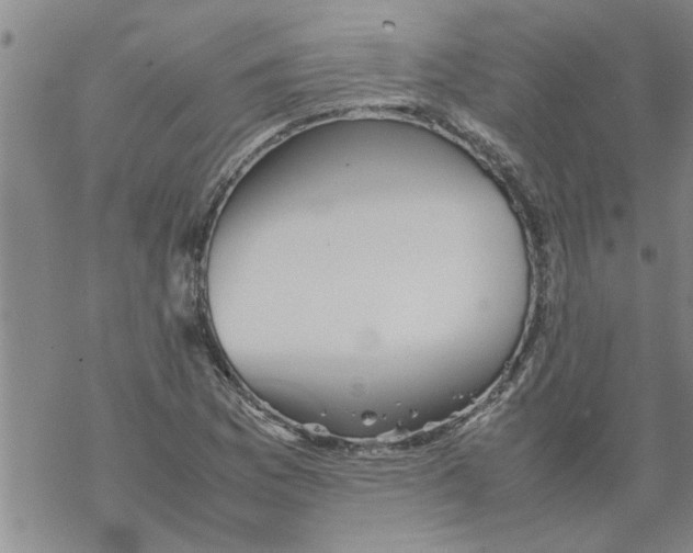 X0000067911169200605111935