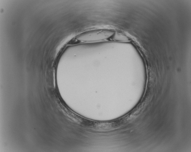 X0000067911171200605111935