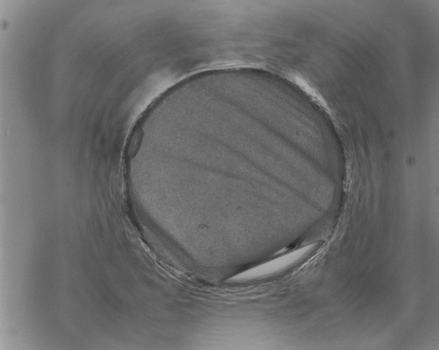 X0000067911173200605111935