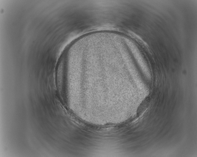 X0000067911174200605111935