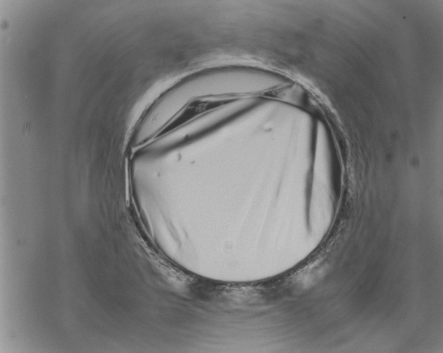 X0000067911175200605111935