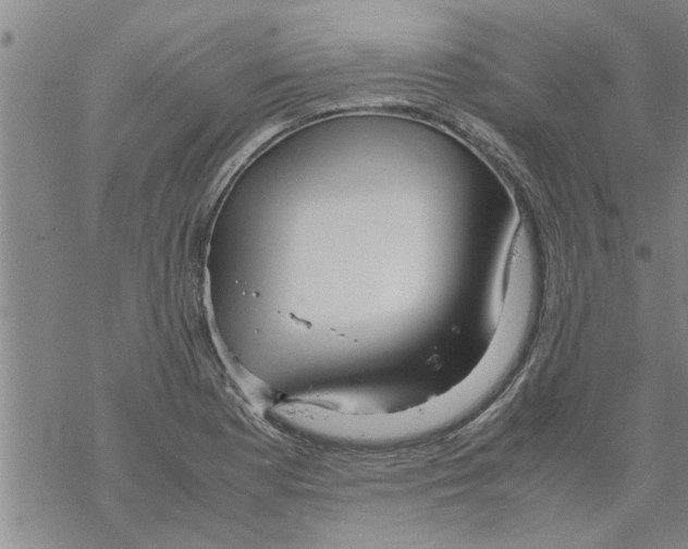 X0000067911177200605111935