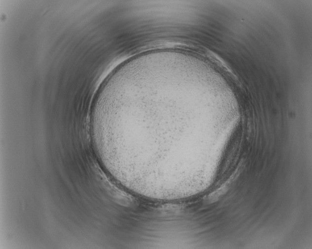 X0000067911178200605111935