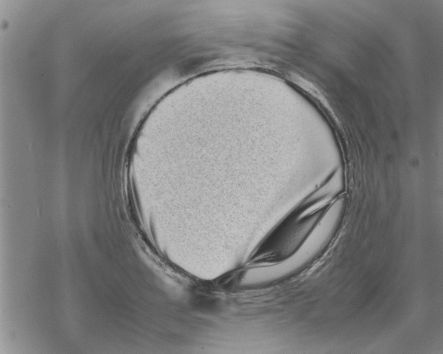 X0000067911179200605111935