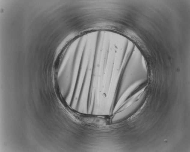 X0000067911180200605111935