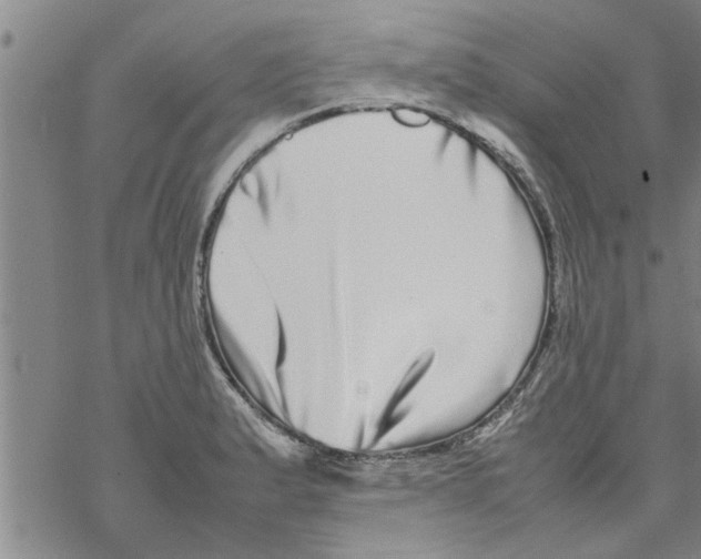 X0000067911183200605111935