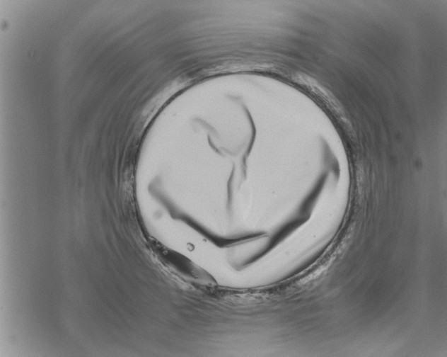 X0000067911185200605111935