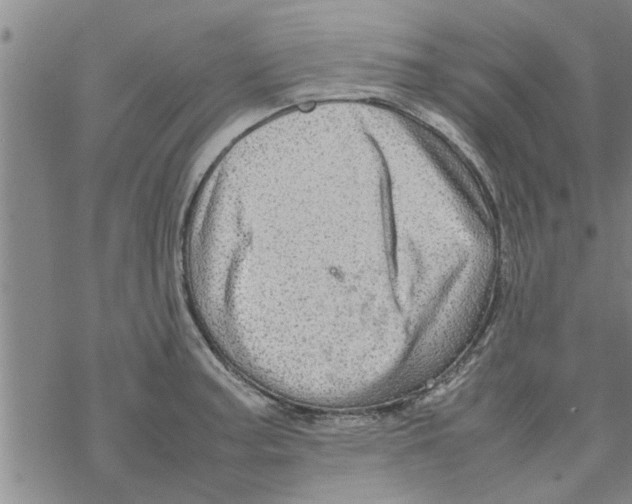 X0000067911187200605111935