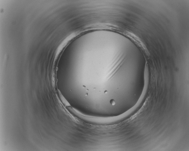 X0000067911188200605111935