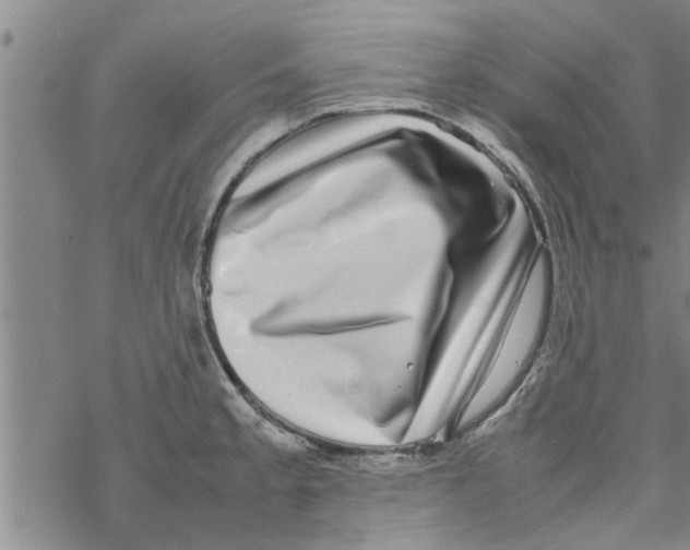 X0000067911189200605111935