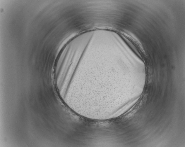 X0000067911190200605111935