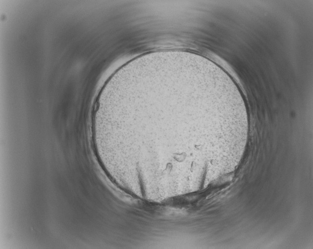 X0000067911195200605111935