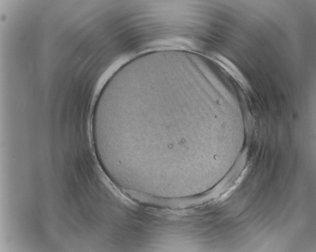 X0000067911196200605111935