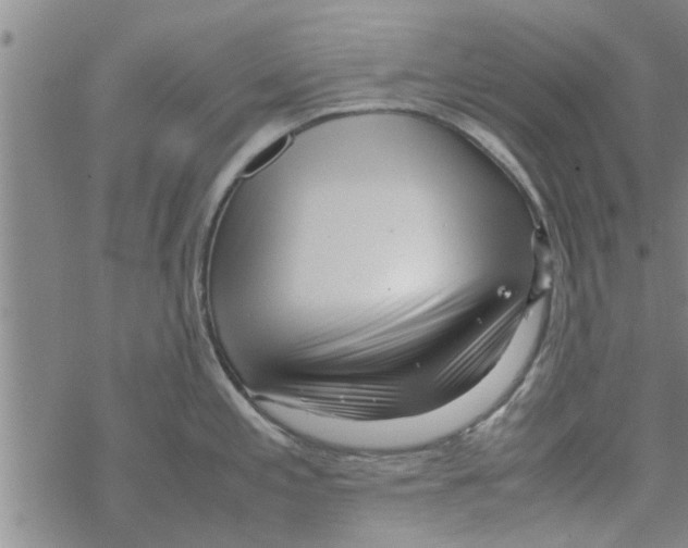 X0000067911197200605111935