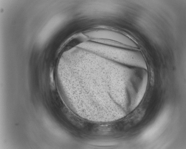 X0000067911198200605111935