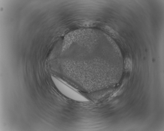 X0000067911202200605111934