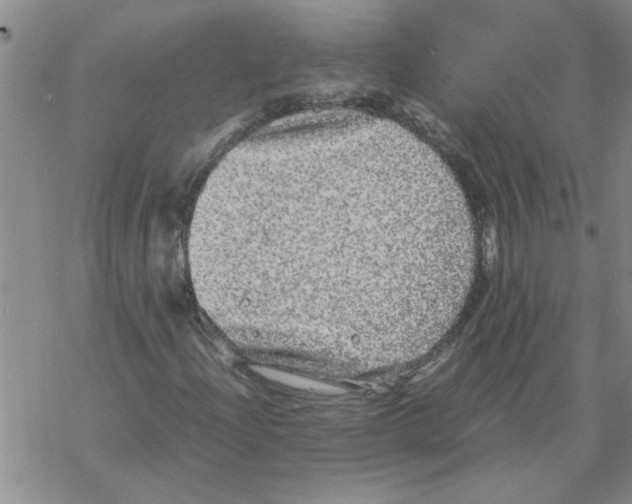 X0000067911204200605111934