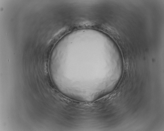 X0000067911205200605111934