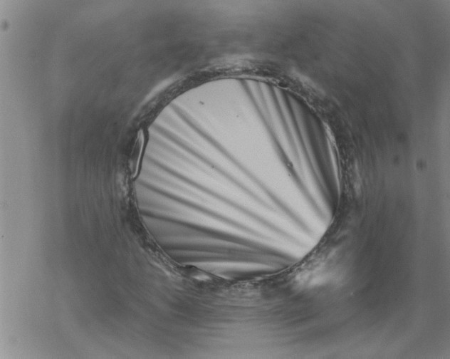 X0000067911206200605111934