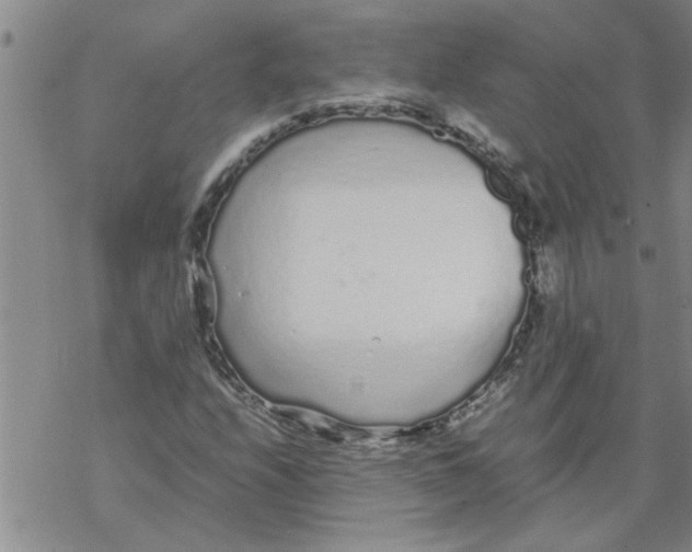 X0000067911208200605111934