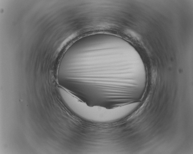 X0000067911210200605111934