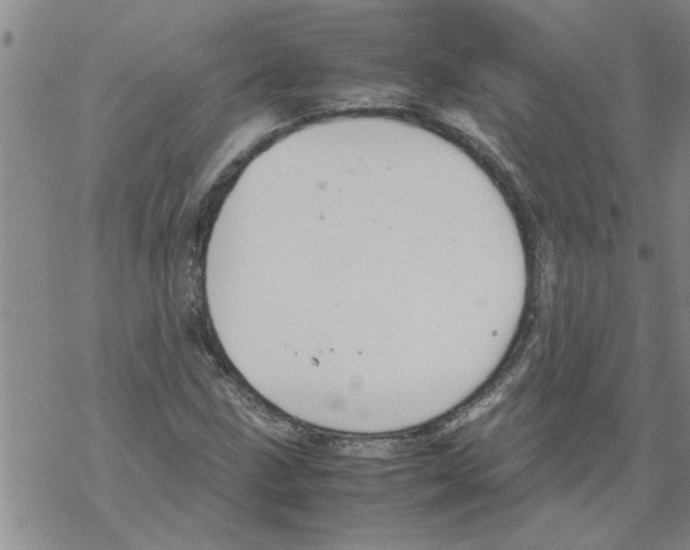 X0000067911211200605111934