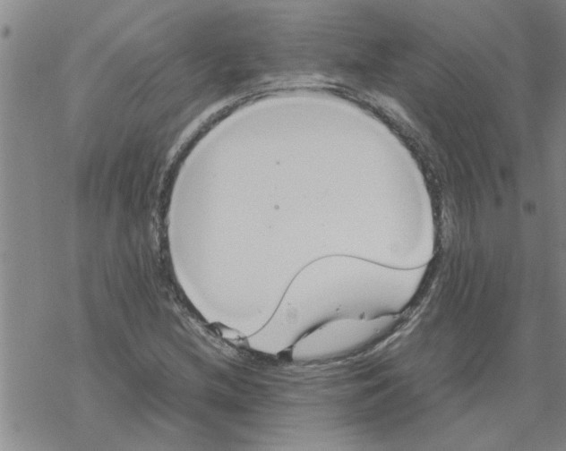 X0000067911212200605111934