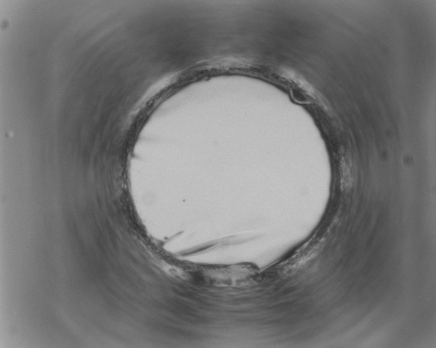 X0000067911213200605111934