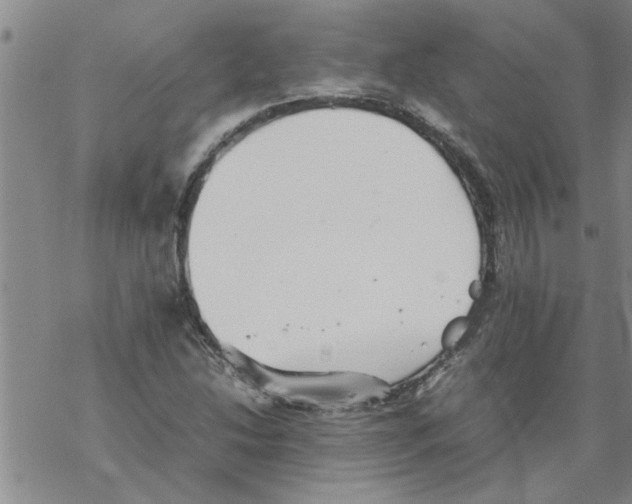 X0000067911214200605111934