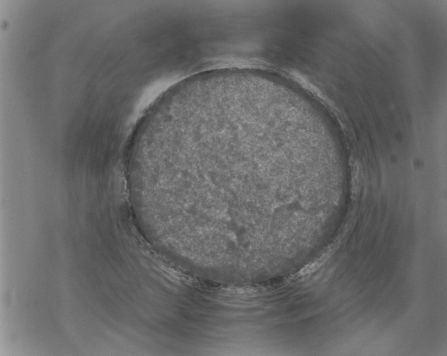 X0000067911215200605111934