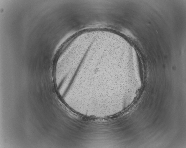 X0000067911216200605111934