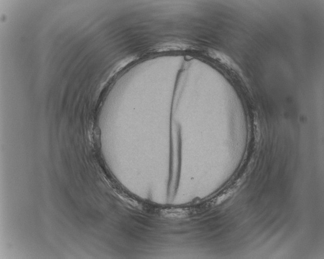 X0000067911217200605111934