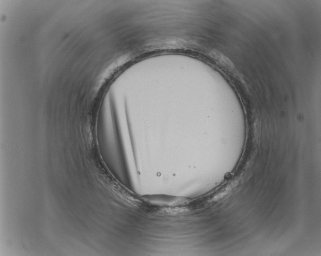 X0000067911218200605111934