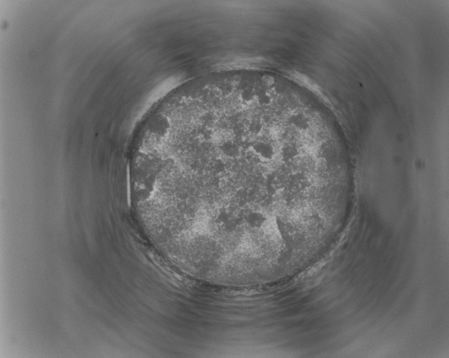 X0000067911219200605111934