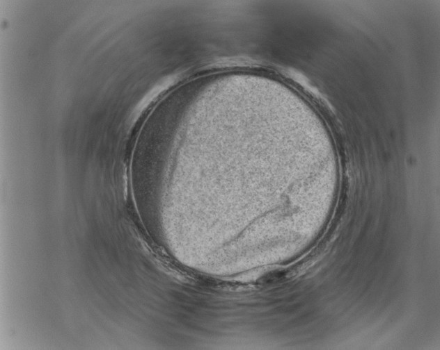 X0000067911221200605111934