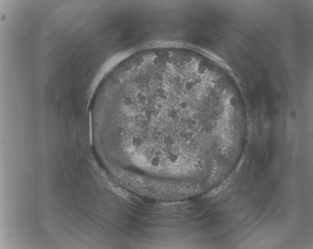 X0000067911223200605111934