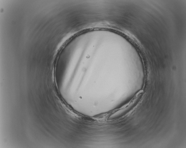 X0000067911224200605111934