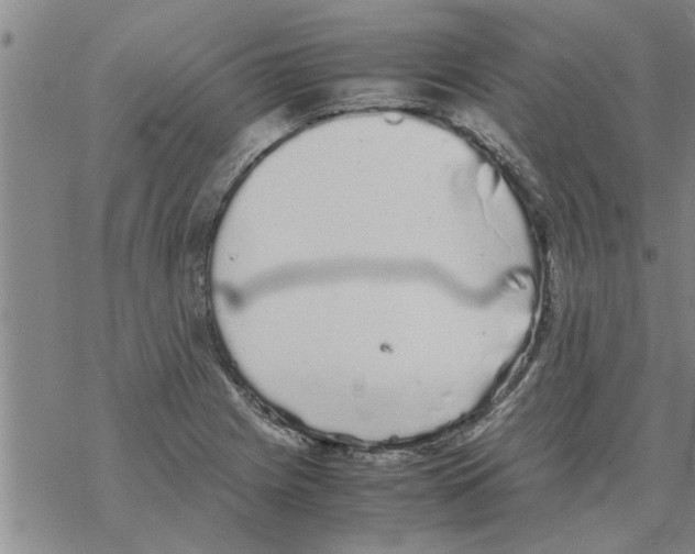 X0000067911225200605111934