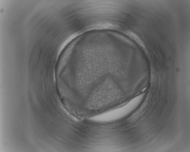 X0000067911226200605111934