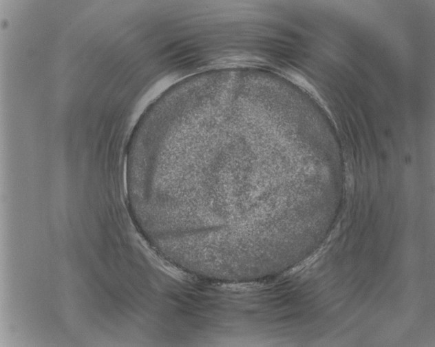 X0000067911227200605111934