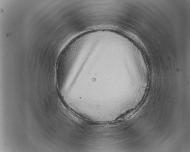 X0000067911228200605111934