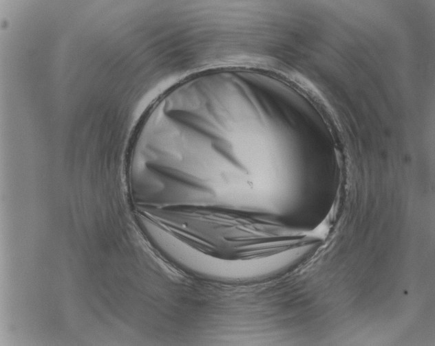 X0000067911230200605111934