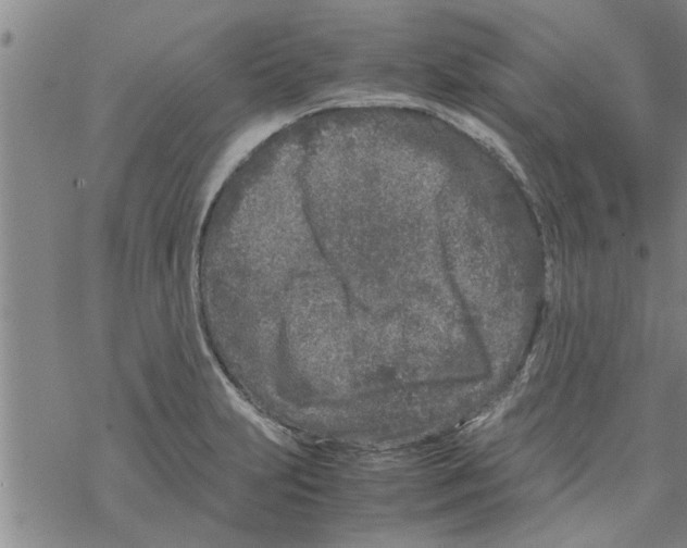 X0000067911231200605111934