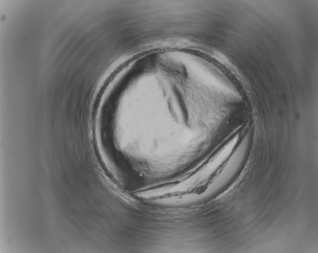 X0000067911232200605111934