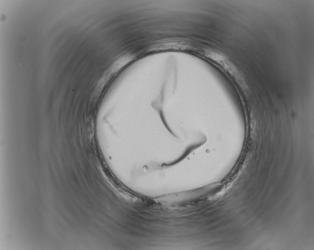 X0000067911233200605111934