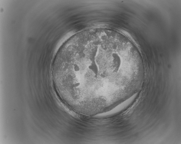 X0000067911235200605111934