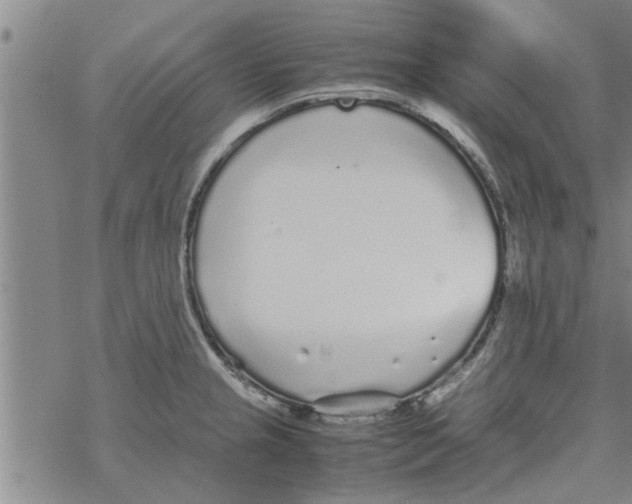 X0000067911237200605111934