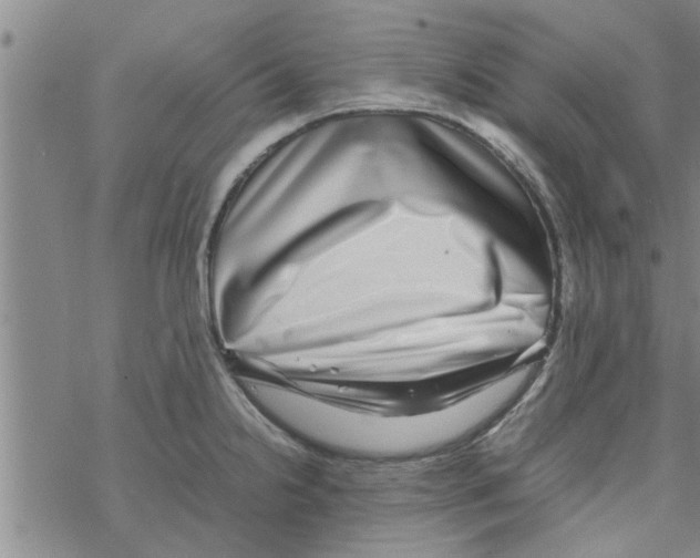 X0000067911238200605111934