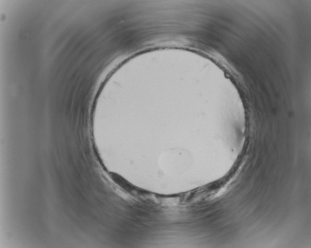 X0000067911240200605111934