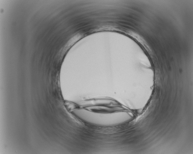 X0000067911241200605111934